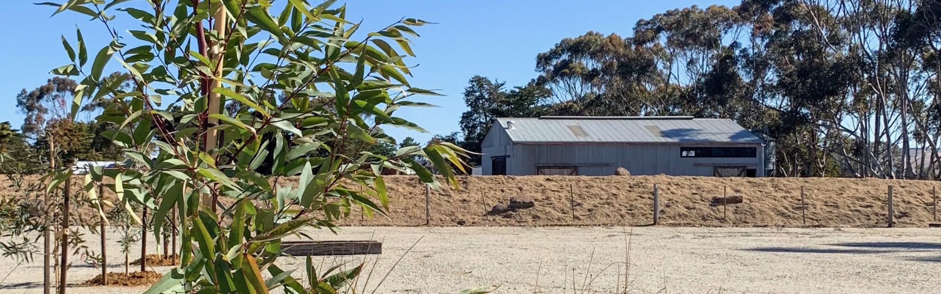 Rocklea Farm Glamping