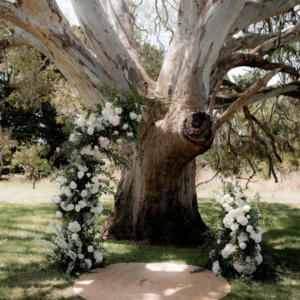 Madison & Daniel Modern Rustic Wedding