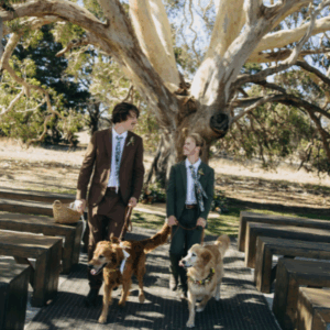 Pet friendly wedding venue